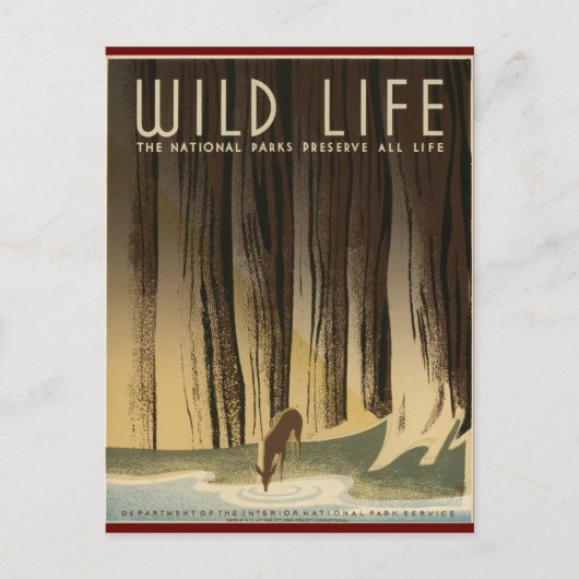 野生生活を保つ ポストカード (正面)