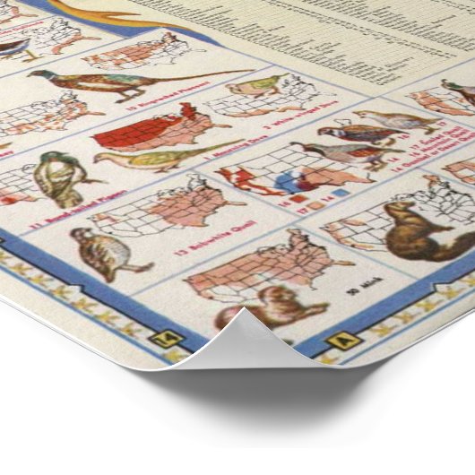 野生生物とゲーム州のマッ統一されたプ ポスター (角)