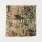 野生生物による茶色の写真 タペストリー (正面(横))