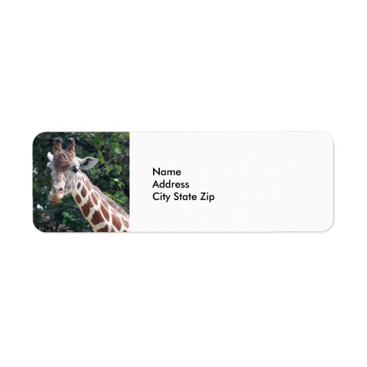 野生生物のキリン写真 ラベル (正面)