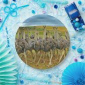 野生生物のダチョウの群れの写真 ペーパープレート (パーティー)