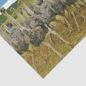 野生生物のダチョウの群れの写真 薄葉紙 (詳細)