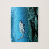 野生生物のパズルサメ ジグソーパズル (縦)