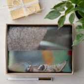 野生生物のボブキャットの写真 薄葉紙 (ギフト)