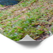 野生生物の保護vの砂とゴミ ポスター (角)