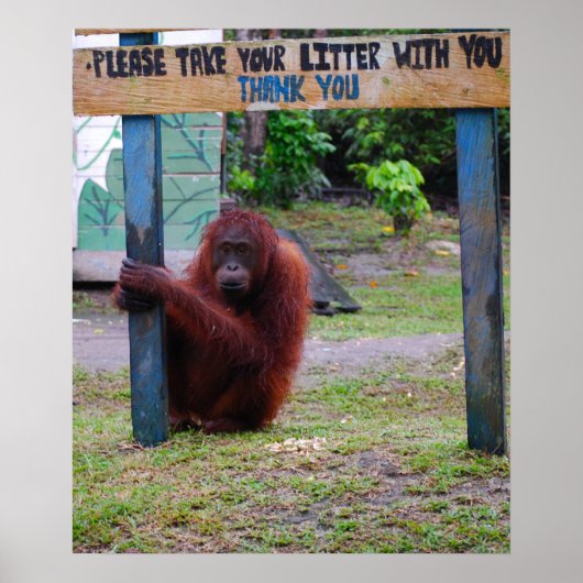 野生生物の保護vの砂とゴミ ポスター (正面)