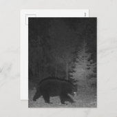 野生生物の夜MIブラックベアーアッパー半島 シーズンポストカード (正面/裏面)