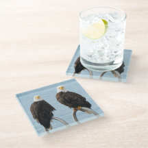 野生生物の姿が禿げおもしろいたワシ