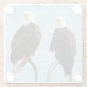 野生生物の姿が禿げおもしろいたワシ ガラスコースター (裏面)