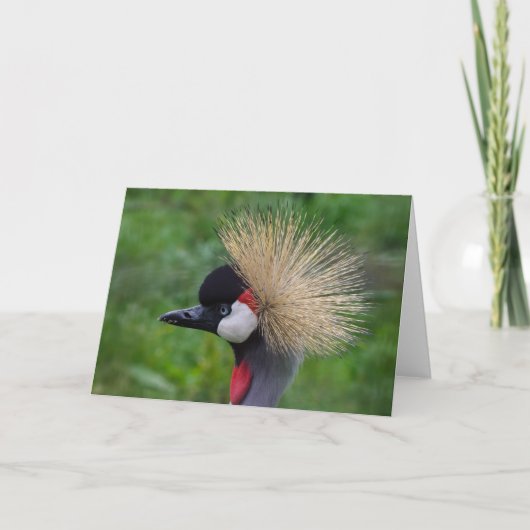 野生生物の挨拶カード空白のの中。 カード (正面)