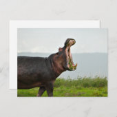 野生生物の海馬の写真 ポストカード (正面/裏面)