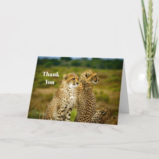 野生生物の生意気な写真 サンキューカード (正面)