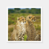 野生生物の生意気な写真 スタンダードカクテルナプキン (正面)