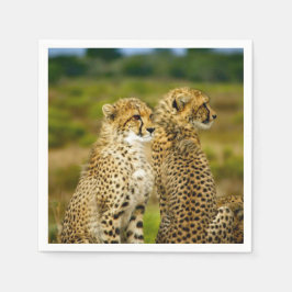 野生生物の生意気な写真 スタンダードカクテルナプキン