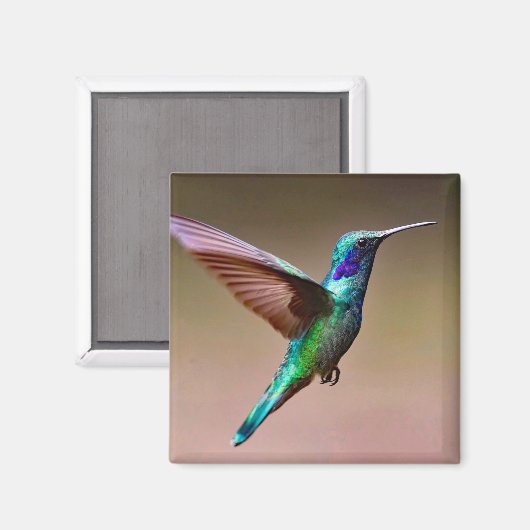 野生生物の緑のハミングバード写真 マグネット (正面/裏面)
