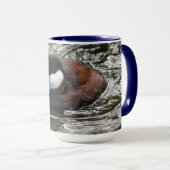 野生生物の赤いダックの写真 マグカップ (正面右)