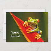 野生生物の赤い目のツリーカエルの写真誕生日 招待状 (正面)