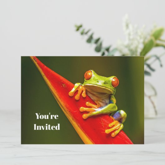 野生生物の赤い目のツリーカエルの写真誕生日 招待状 (スタンド正面)