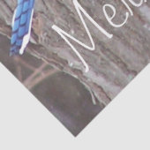 野生生物の青ジェイのクリスマスグリーティングティッシュ 薄葉紙 (詳細)