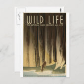 野生生物を保護する ポストカード (正面/裏面)