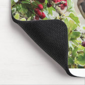 野生生物グリーティングカード – Cedar Waxwing マウスパッド (コーナー)