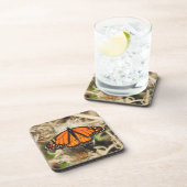 野生生物コースターセット，（昆虫）オオカバマダラ、モナーク蝶，自然 コースター (右側)