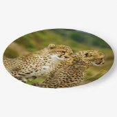 野生生物チーターの写真 ペーパープレート (アングル)