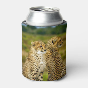 野生生物チーターの写真 缶クーラー