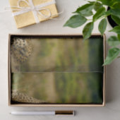 野生生物チーターの写真 薄葉紙 (ギフト)