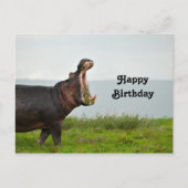 野生生物ヒポタマス写真誕生日 ポストカード (正面)