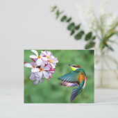 野生生物ビーカラフルイーターのフローラ写真 ポストカード (スタンド正面)