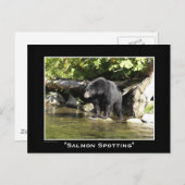 野生生物ベアーズアニマルラバーズデザイン ポストカード (正面/裏面)