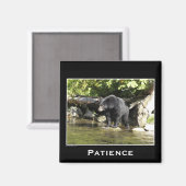 野生生物ベアーズアニマルラバーズデザイン マグネット (正面/裏面)