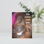 野生生物ベビー孤児 – ボルネオのかわいいベビー ポストカード (スタンド正面)