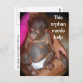 野生生物ベビー孤児 – ボルネオのかわいいベビー ポストカード (正面/裏面)