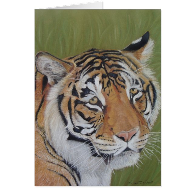 野生生物ポートレート写真の虎大きな猫 (正面)