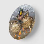 野生生物マラードアヒルの写真 ラウンド壁時計 (傾斜)