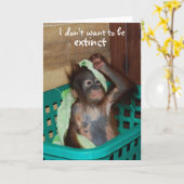 野生生物保全の不機嫌なベビー カード (黄色い花)