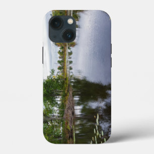野生生物保護を通じたミシシコイ川 iPhone 13 MINIケース