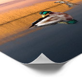 野生生物保護区 ポスター (角)