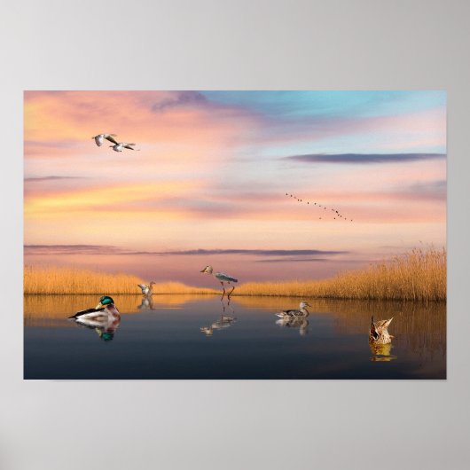 野生生物保護区 ポスター (正面)