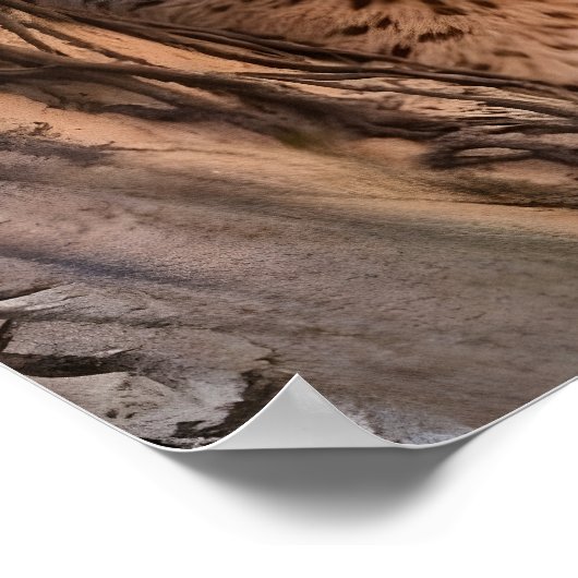 野生生物写真ボブキャットのクローズアップ ポスター (角)