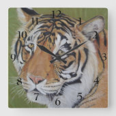 野生生物写真大きな猫虎 スクエア壁時計 (正面)