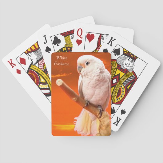 野生生物遊のカード トランプ (裏面)