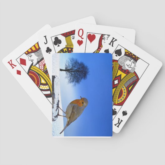 野生生物遊のカード トランプ (裏面)