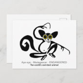 野生生物風変わり- AYE-AYE - lemur – 霊長類 ポストカード (正面/裏面)