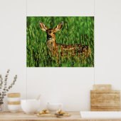 野生生物11がバンプした ポスター (キッチン)