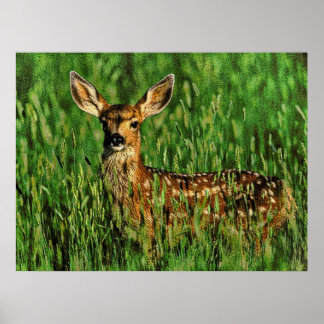 野生生物11がバンプした ポスター