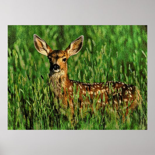 野生生物11がバンプした ポスター (正面)