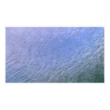 野生生物139ポスター